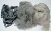 fibres.jpg